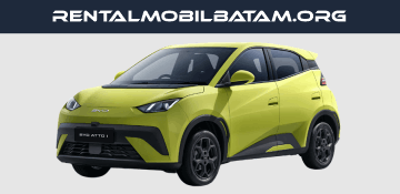 BYD ATTO1