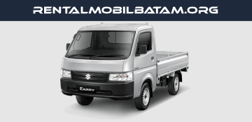 Suzuki Carry